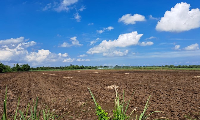 For Sale: PEZA Silay Negros Occidental - #1